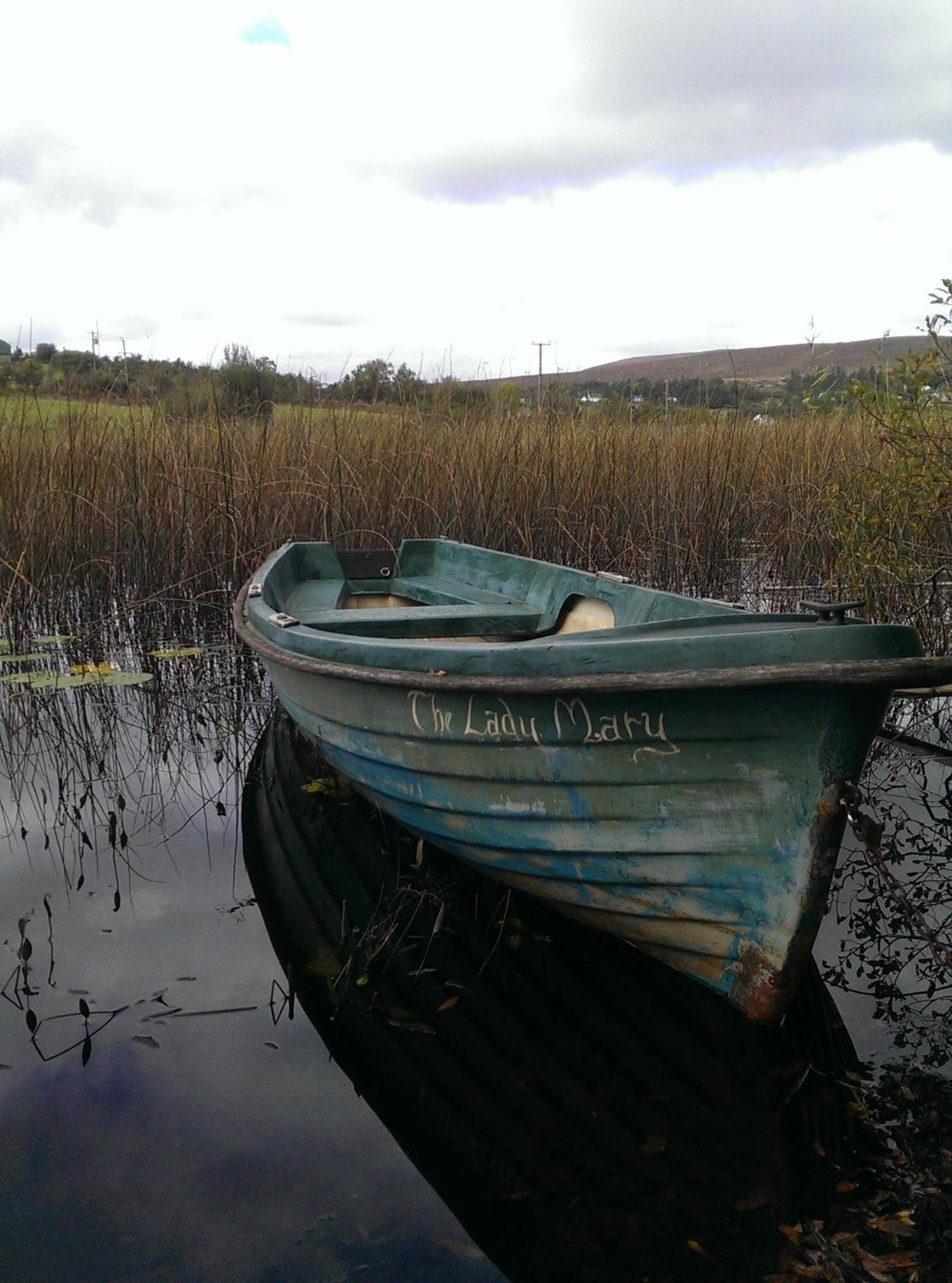 Woodview Bed & Breakfast. Letterkenny Esterno foto